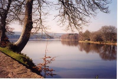 Broceliande